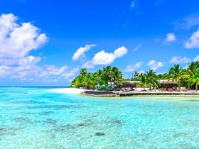 tropical